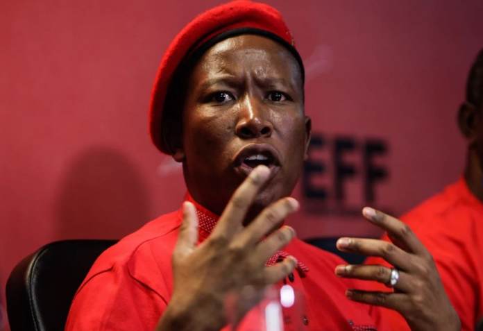 Julius Malema