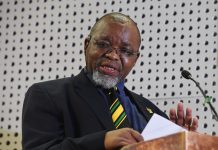 gwede mantashe