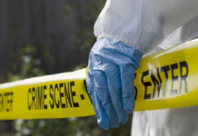 Teenager handed 25-year sentence for Little Karoo farm murder