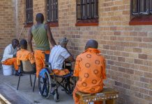 Rooigrond escapee Madiba recaptured in Brits