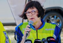 Creecy calls for faster transport reforms to cut emissions, boost growth