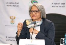 Lack of skills in the NPA was derailing its success – Cronje