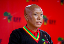 Malema predicts Mbalula as ANC President, denies ‘Cat’ Matlala family link, calls for G20 boycott
