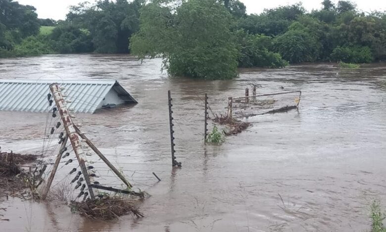 Schooling in the Bushbuckridge Local Municipality has been suspended.