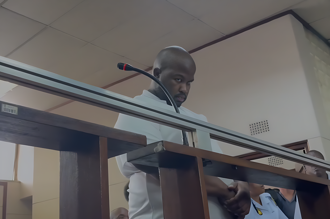 Twenty-two-year-old Ayanda Dludla was charged on Thursday in the Vanderbijlpark Magistrate’s Court with 14 counts of murder and three counts of attempted murder