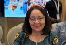 De Lille seeks sponsors, partners for Africa Travel Indaba revamp