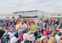 KZN launches migrant crackdown as anti-immigration protests spread