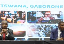 Ramaphosa pushes deeper SA-Botswana trade, mining and energy ties at BNC summit