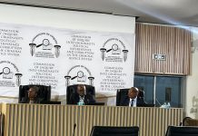 Witness I details alleged links between senior police officers, Mogotsi and Matlala in Aeroton testimony