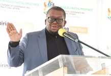 Misuzulu again sacks Thulasizwe Buthelezi as Zulu prime minister, replaces him with MK Party’s Chiliza