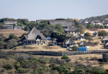 Former Nkandla architect Minenhle Makhanya ordered to pay R147.2m over unlawful conduct