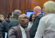 OPINION | Annelene van den Heever: A hard nut to crack, defender of high-profile accused rights