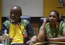 ANC directs Mantashe to apologise for crude ‘sex-for-jobs’ remarks