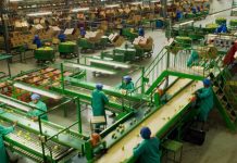 141 companies pledge R548bn in Special Economic Zone investments